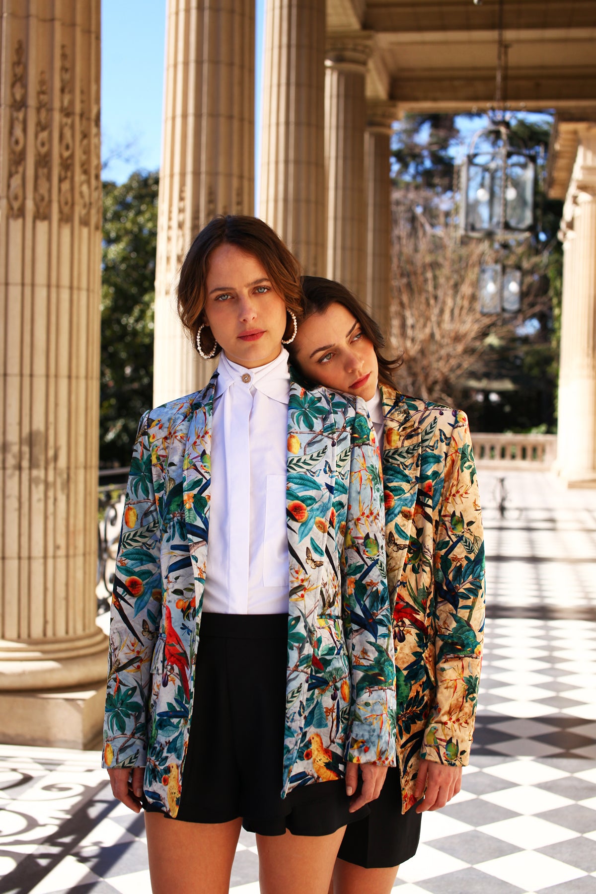 Blazer - Blue Colombian Parrots