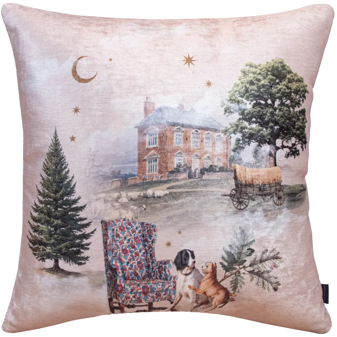 Add luxury and comfort to your home with our velvet cushions, featuring retro-inspired designs and a variety of patterns perfect for mixing and matching.