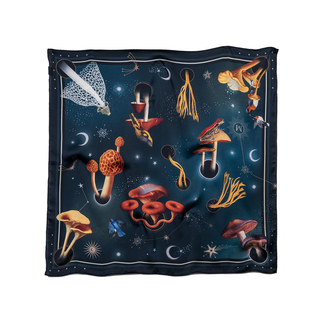 Fungi - Scarf