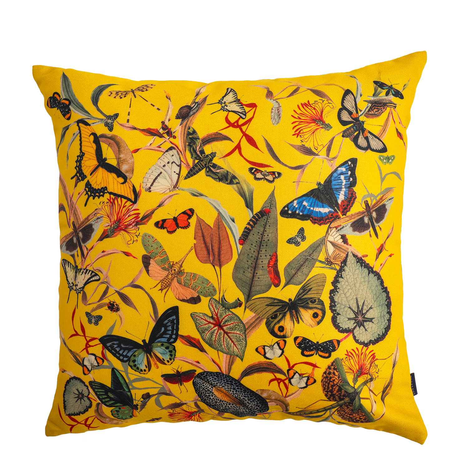 Pillow - Butterfly Yellow