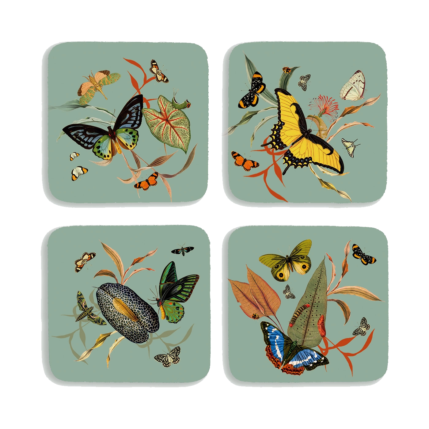 Aqua Butterflies - Coaster