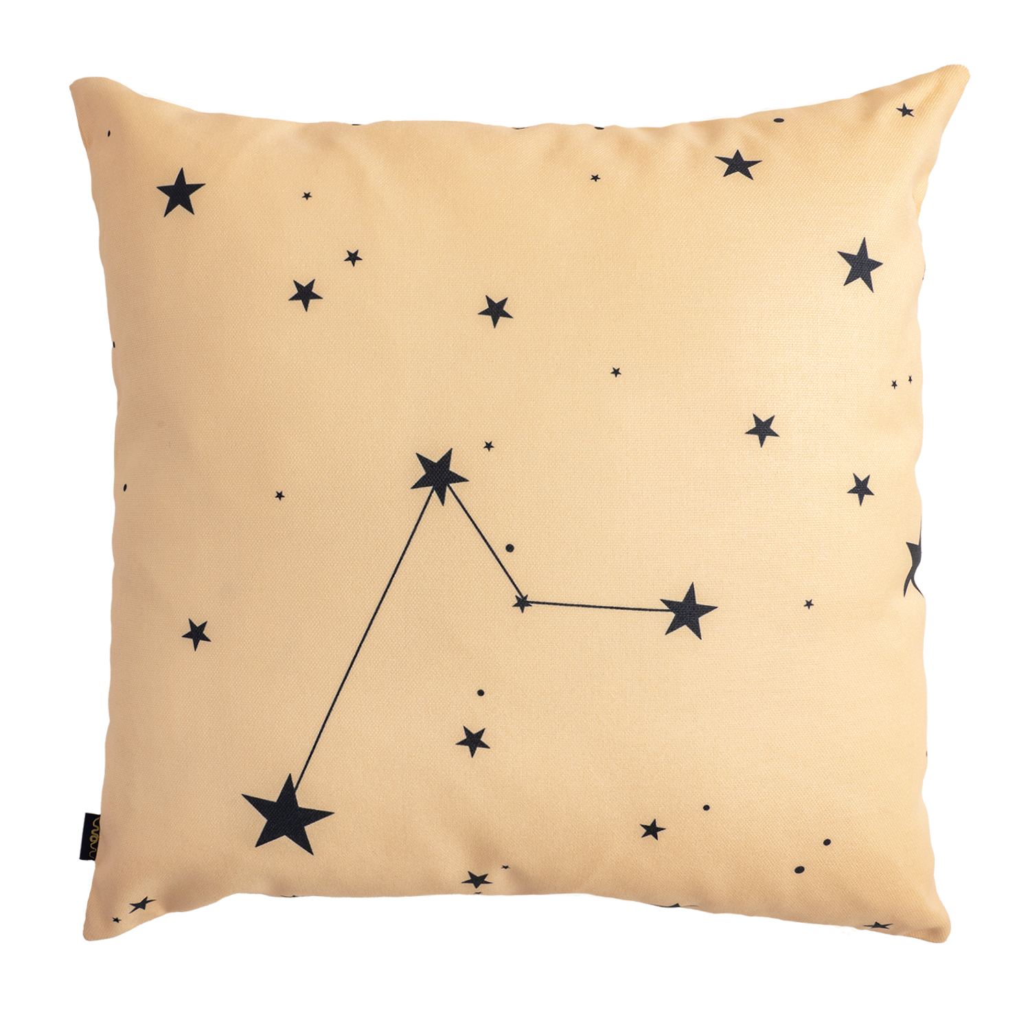 Kingdom Balerina - Canvas Pillow