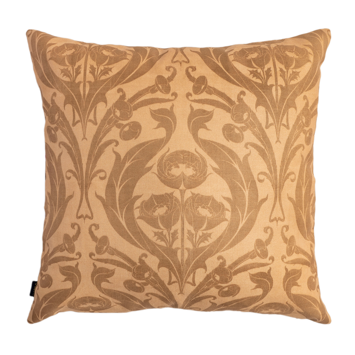 Alegria - Canvas Pillow