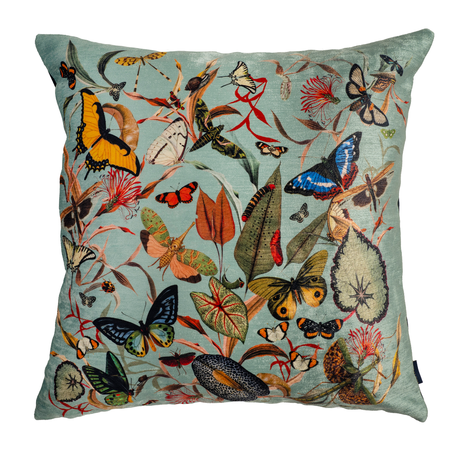 Butterfly Aqua Velvet Pillow - Main Image