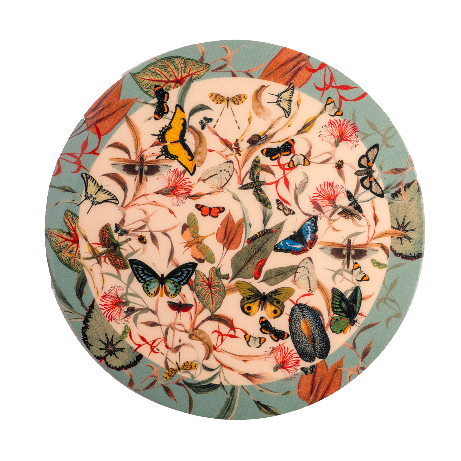 Butterfly Aqua - Round Board