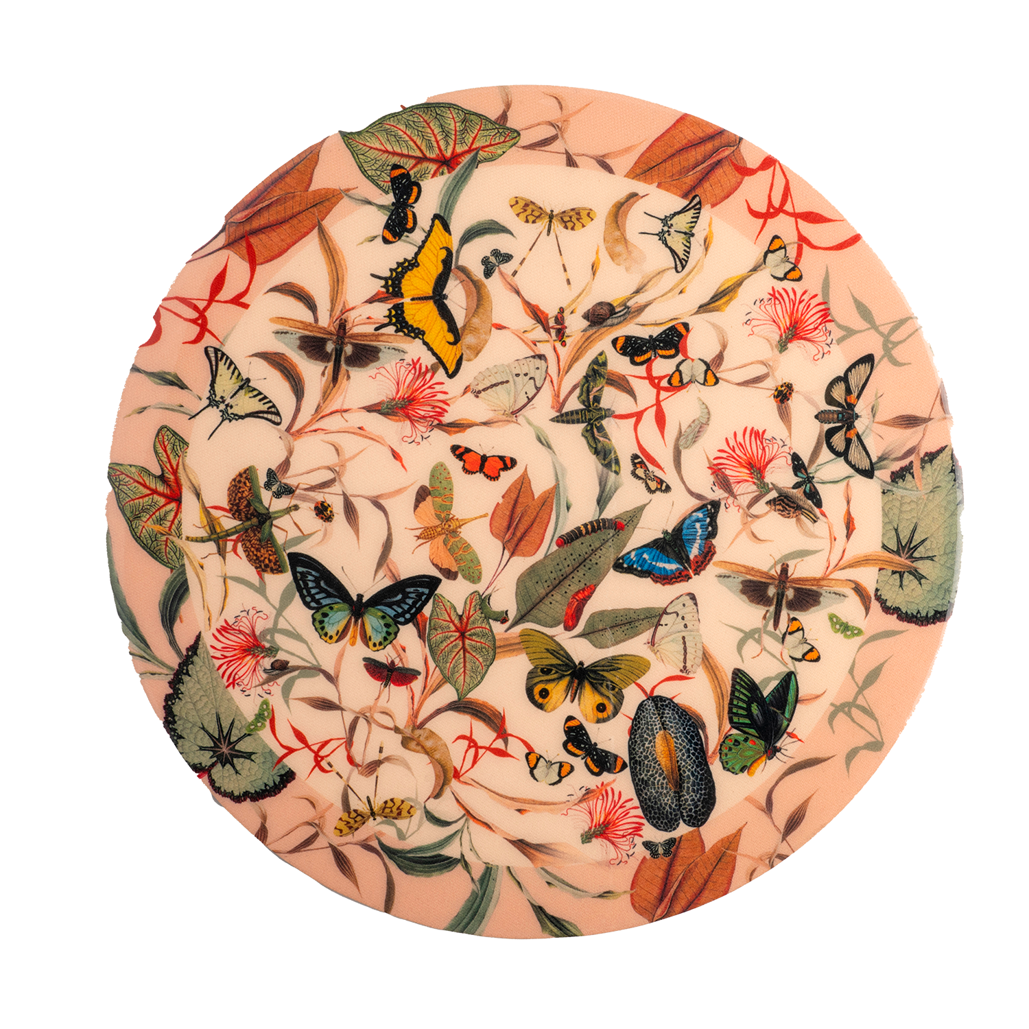 Butterfly Ivory - Round Board