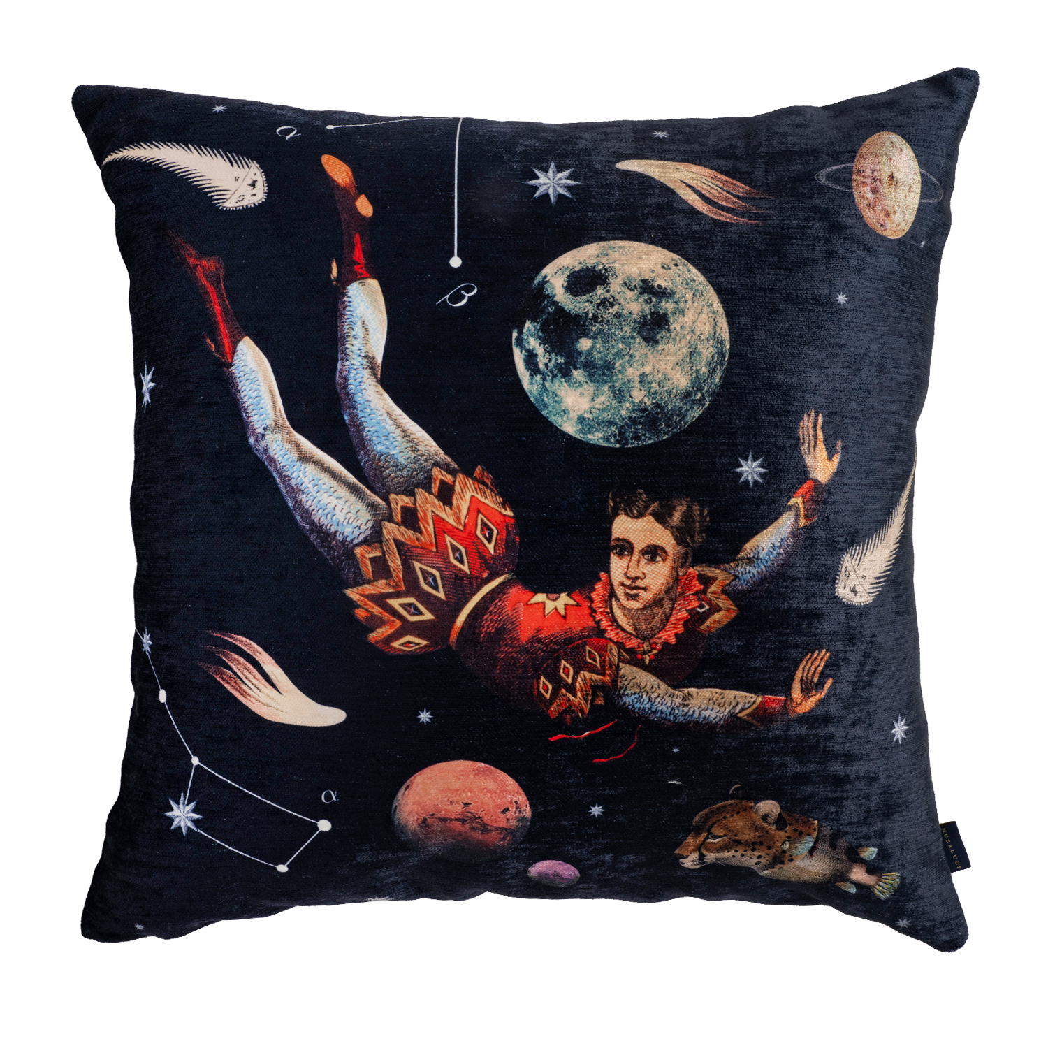 Prince Dark - Velvet Pillow