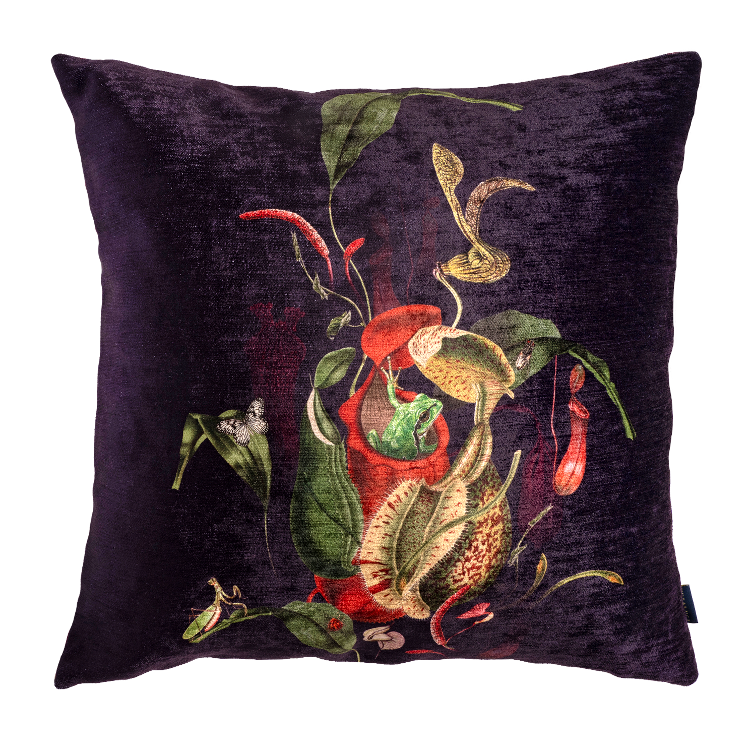 Carnivora Frogs - Velvet Pillow