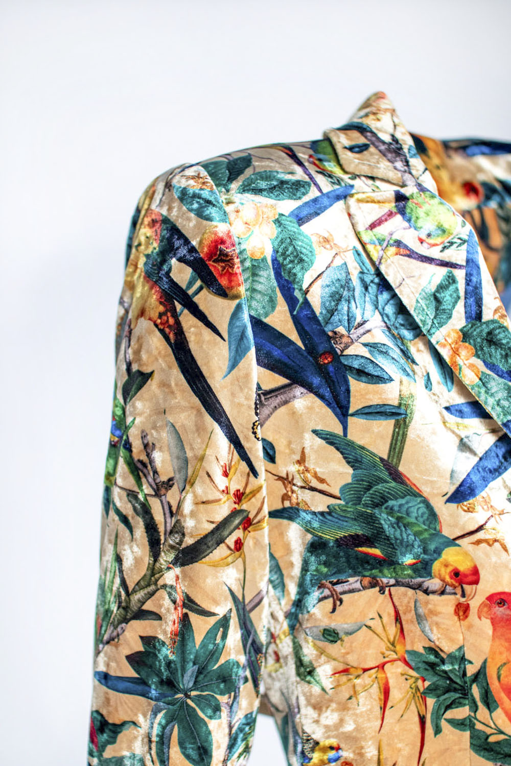 Salmon Colombian Parrots - Velvet Blazer