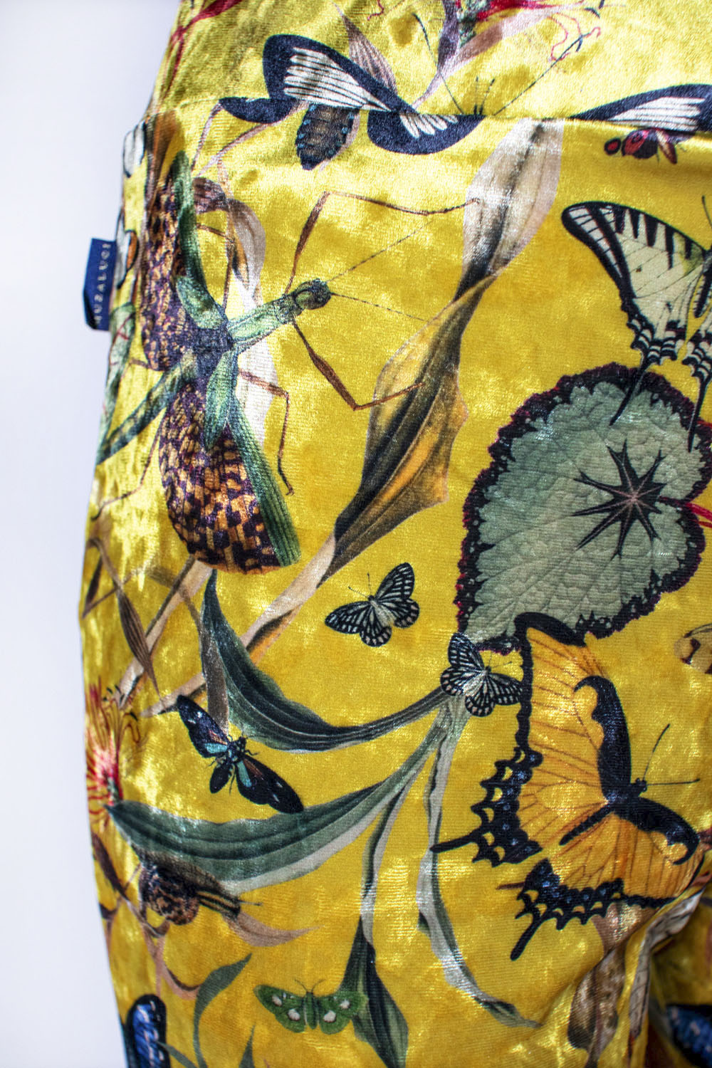 Yellow Butterfly - Velvet Pants