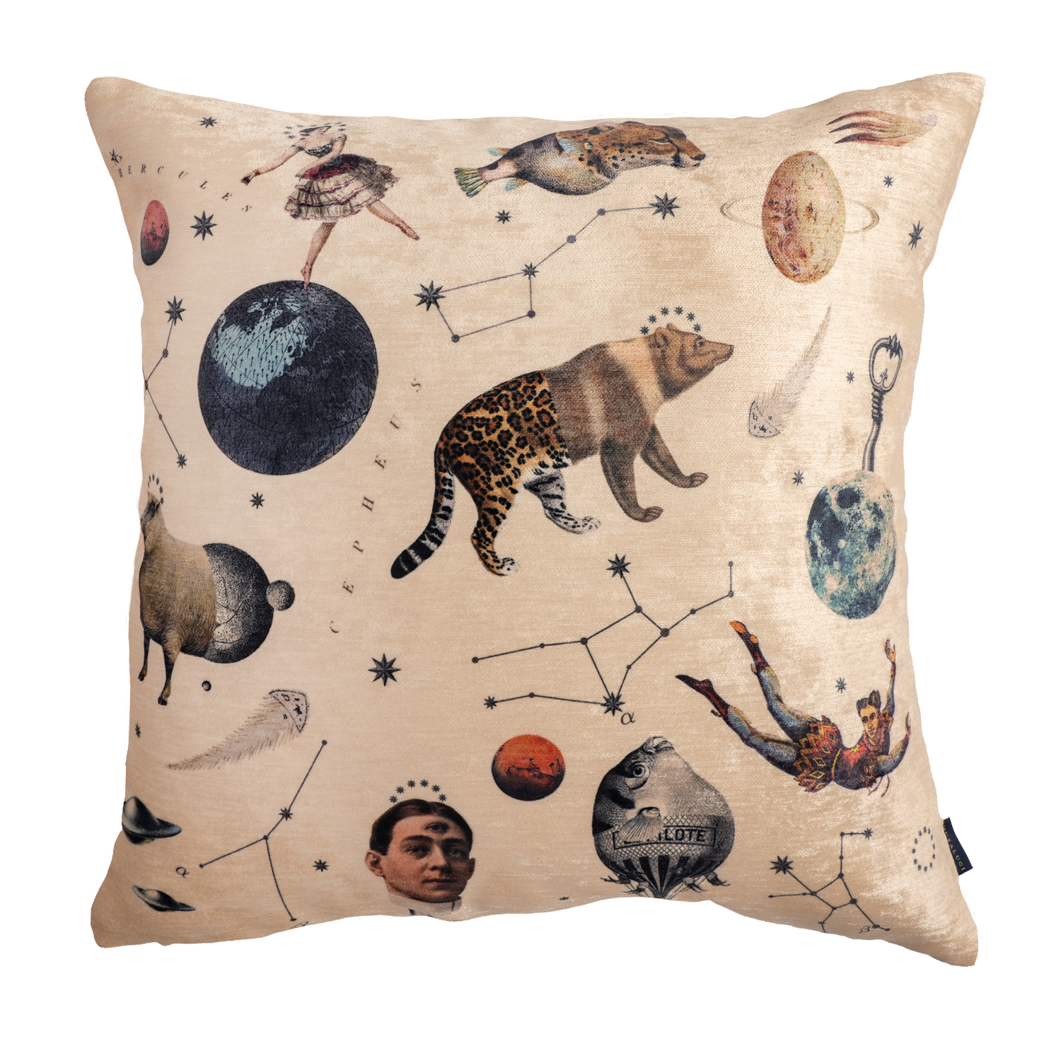 Kingdom - Velvet Pillow