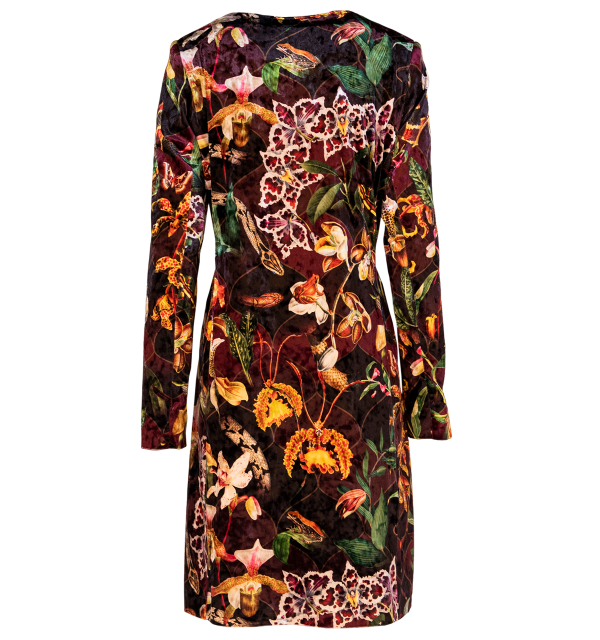 Orquideas Tigre - Kimono