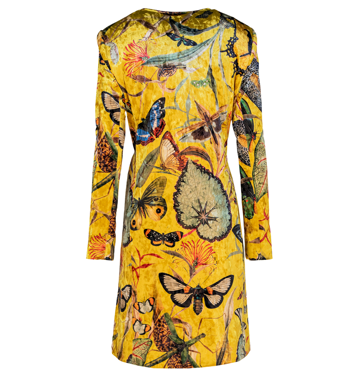Butterfly Yellow - Kimono