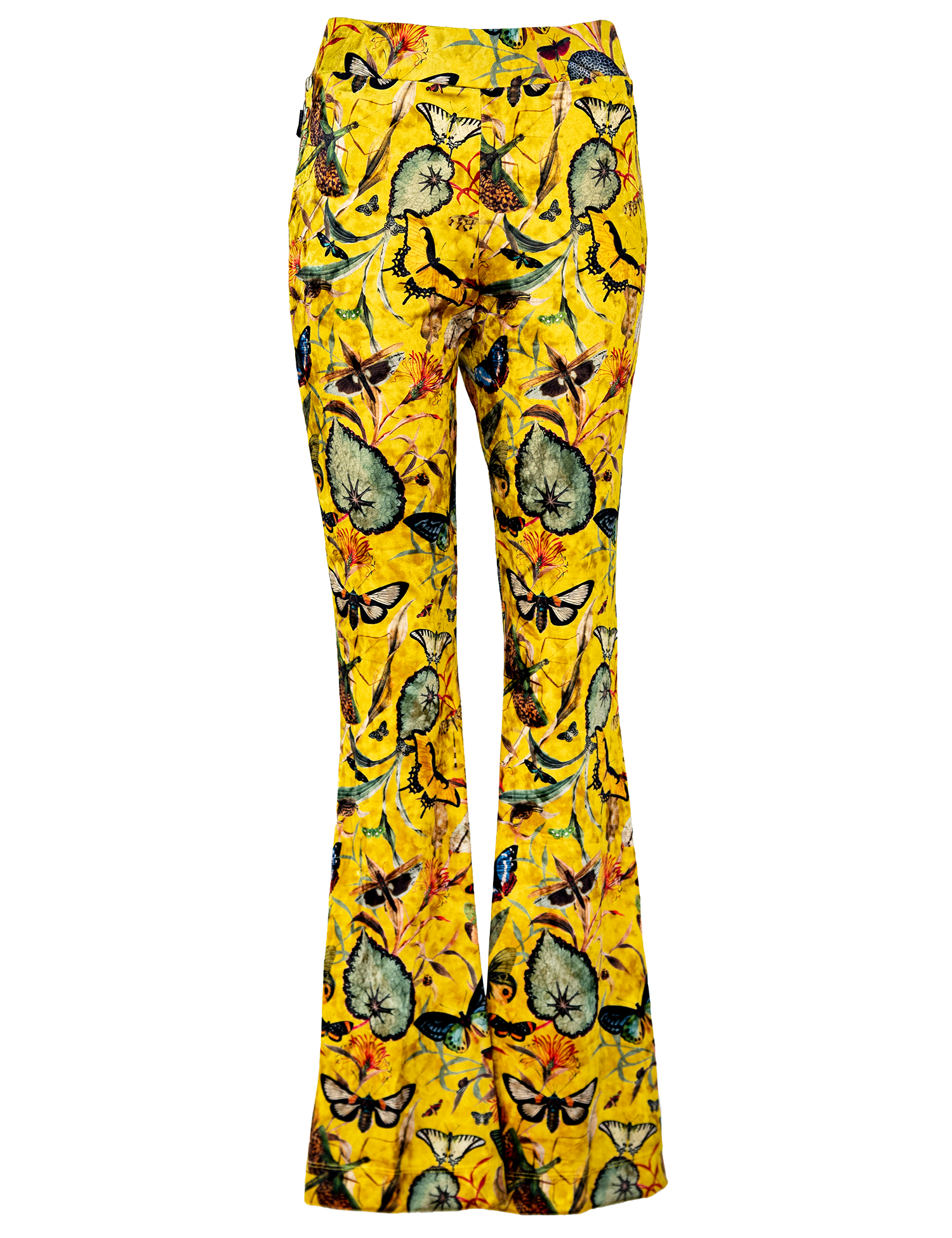 Yellow Butterfly - Velvet Pants