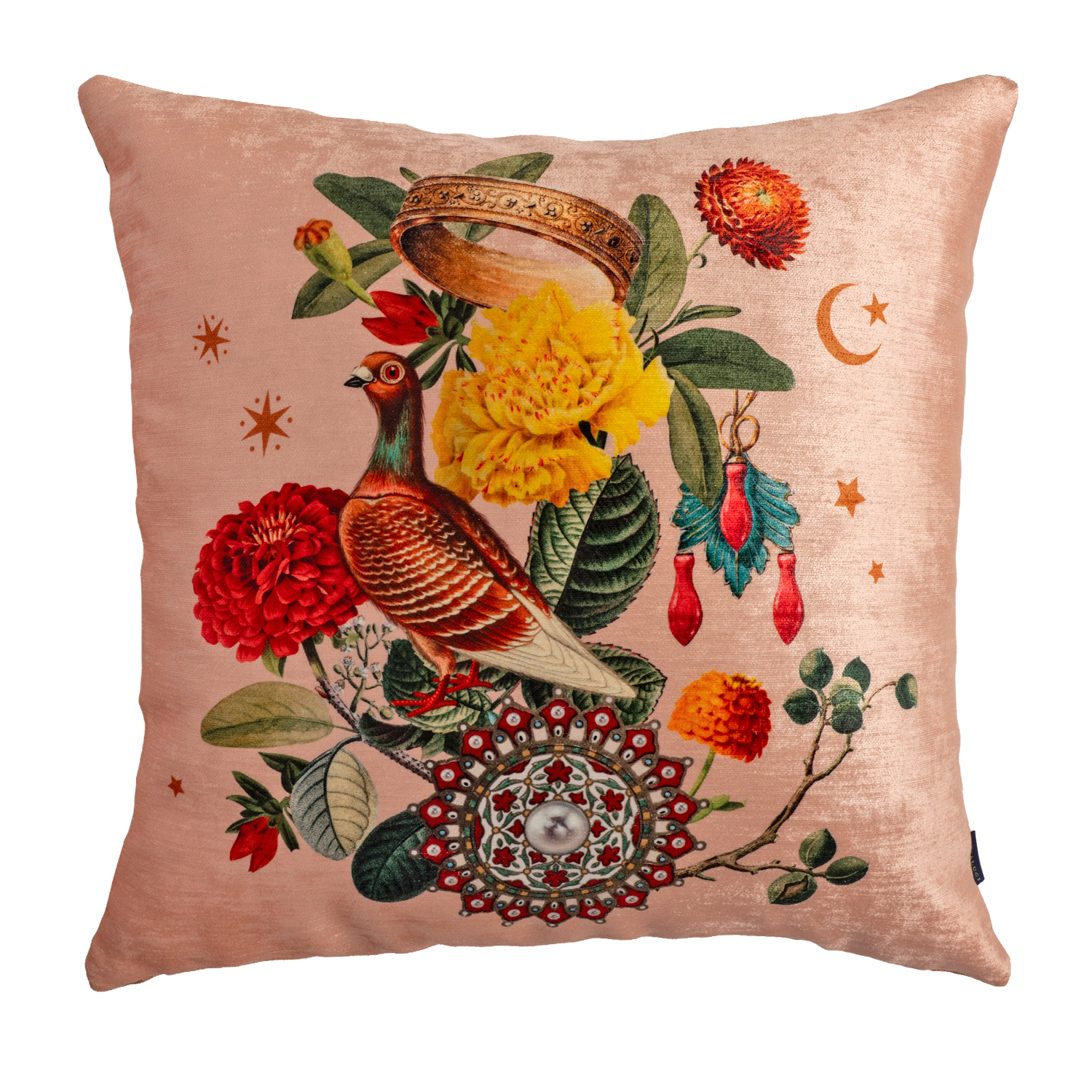 Rama Pigeon - Velvet Pillow