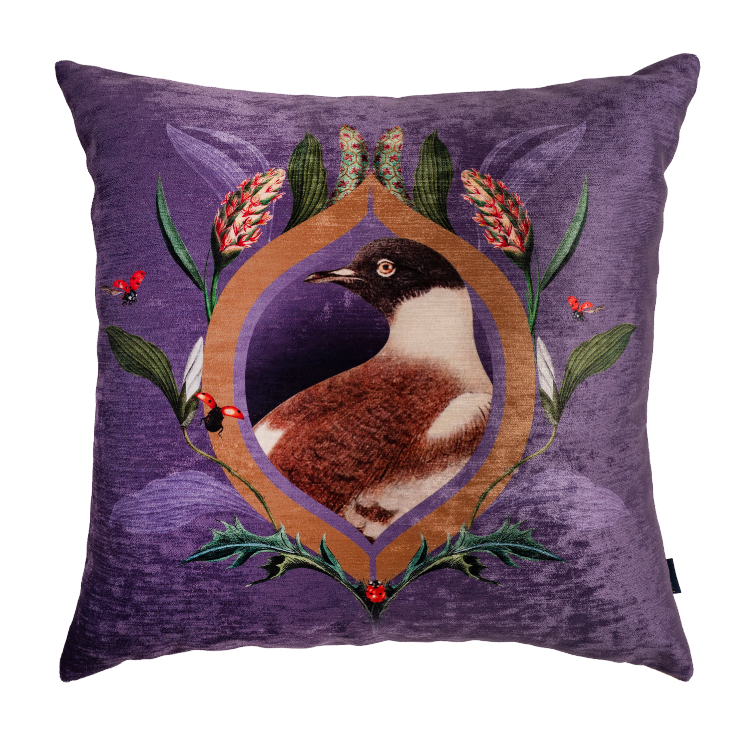 Retro Dove - Velvet Pillow