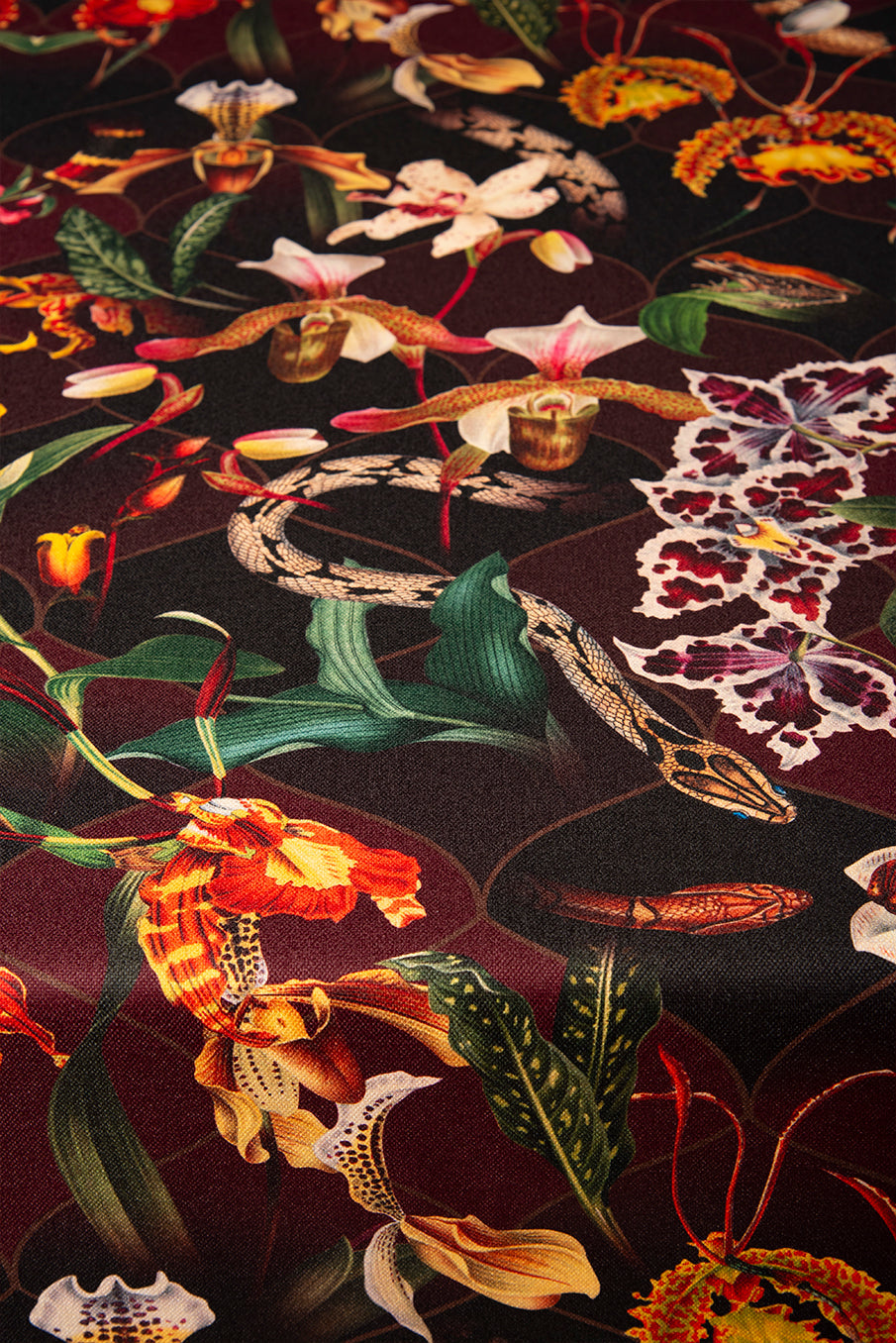 Orquideas Tigre - Tablecloth