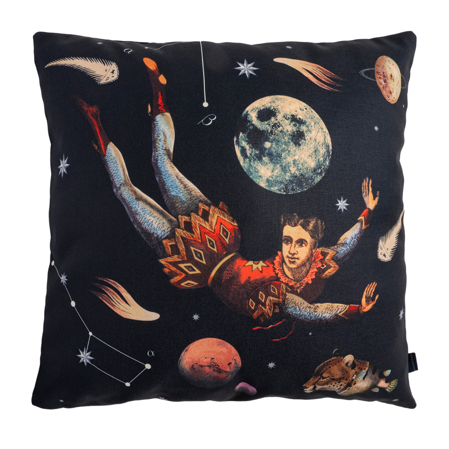 Prince Dark - Canvas Pillow