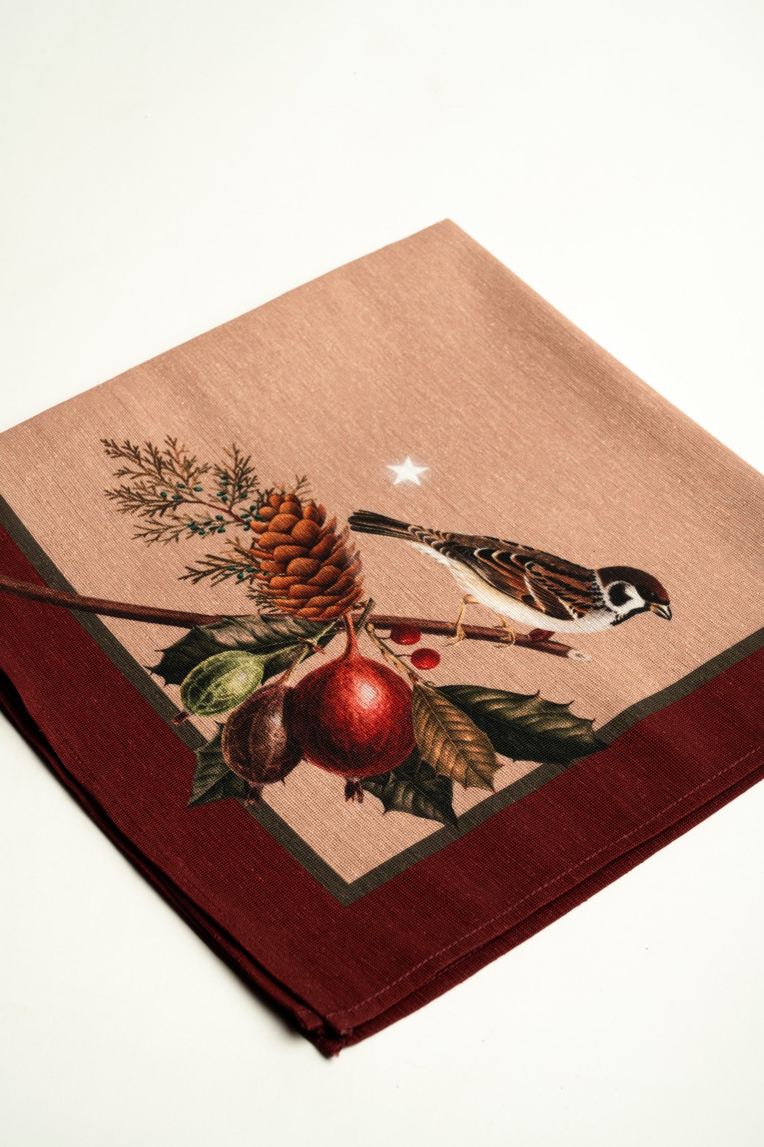 Navidad Ardilla - Napkins