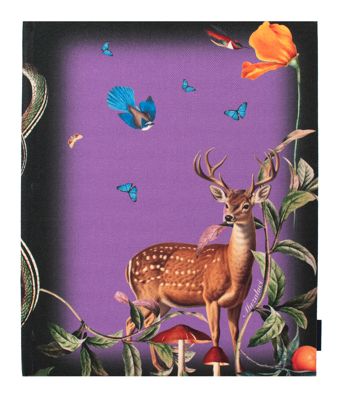 Woodland – Diary