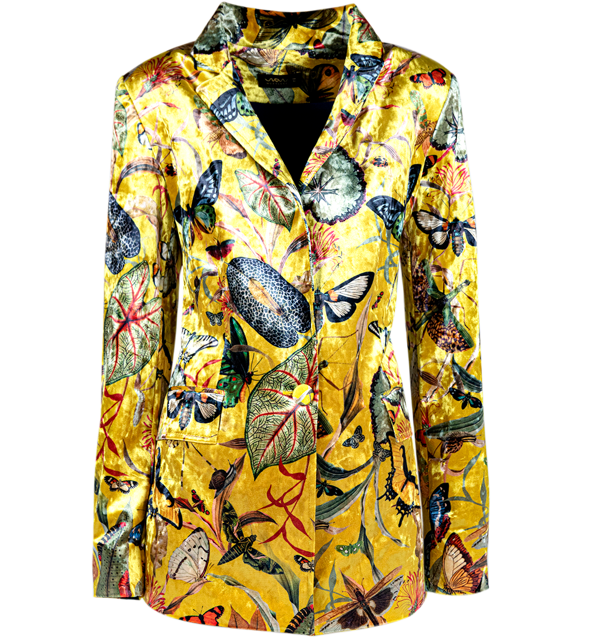 BLAZERS velvet, women, yelow 