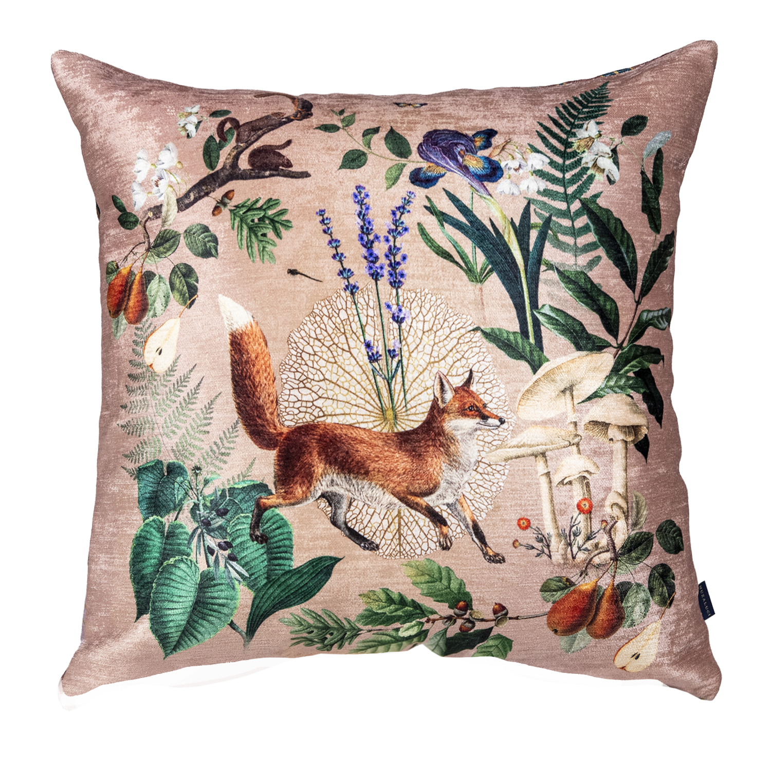 The Forest Sand Fox - Velvet Pillow