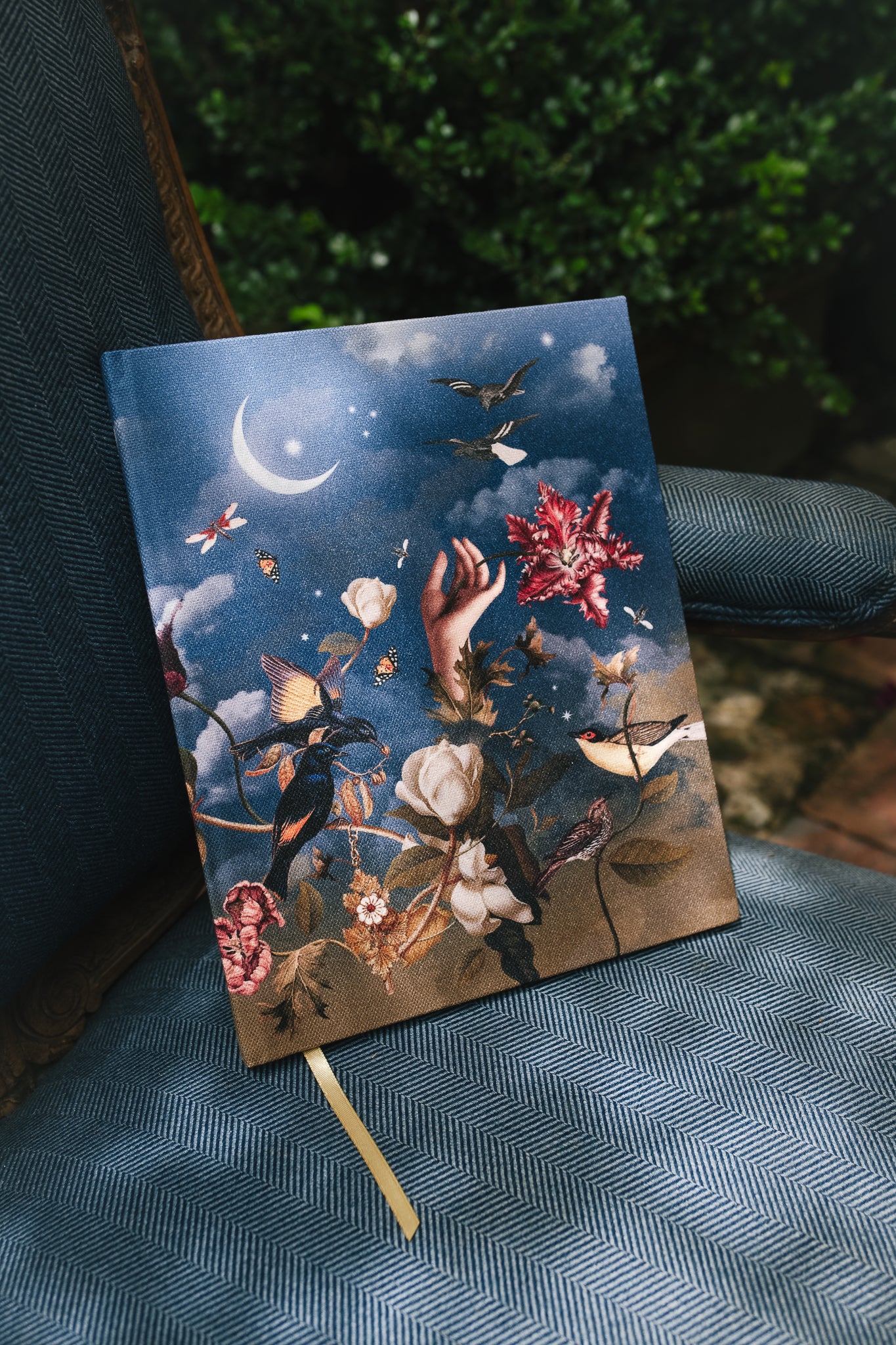 Eden – Diary