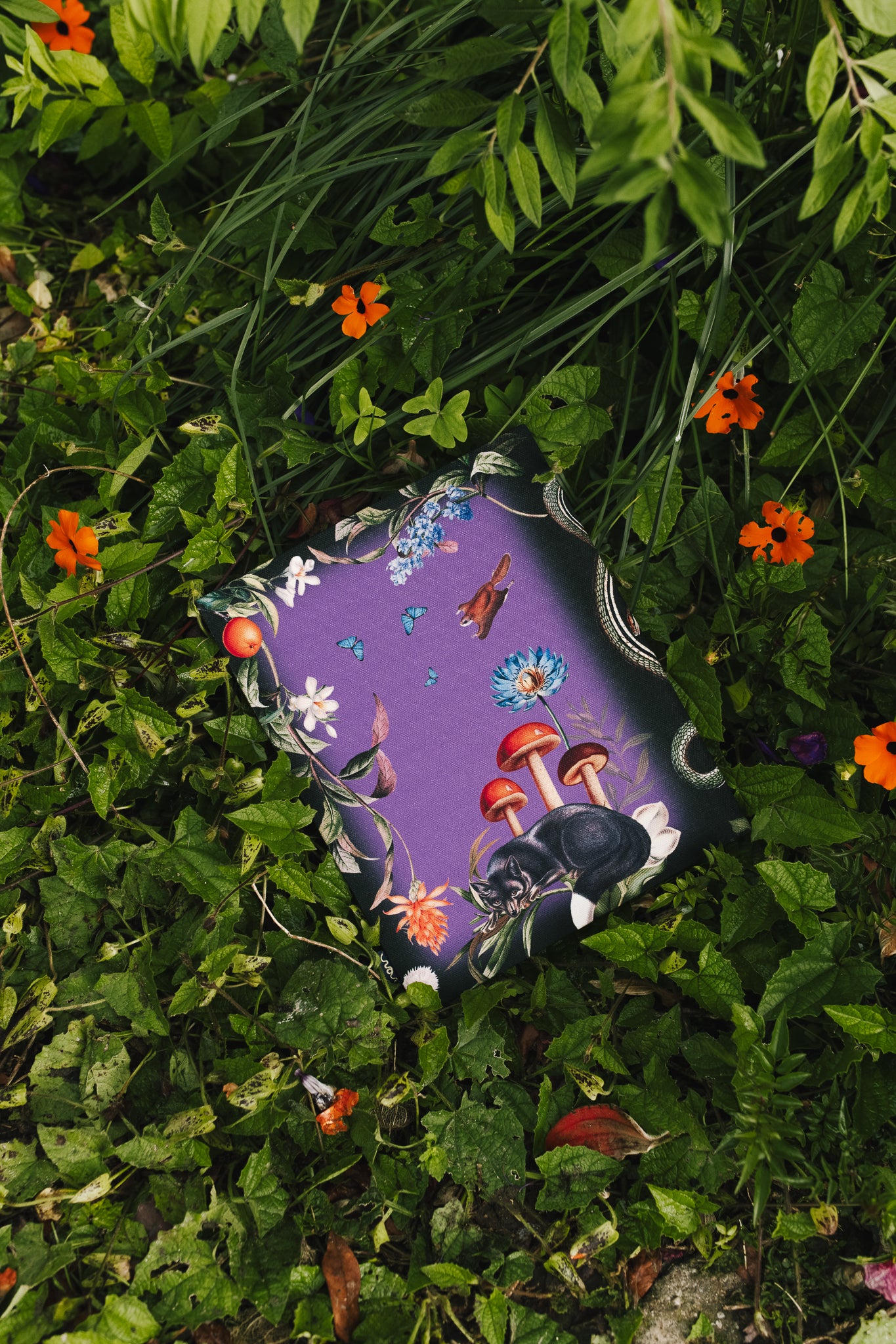 Woodland – Diary
