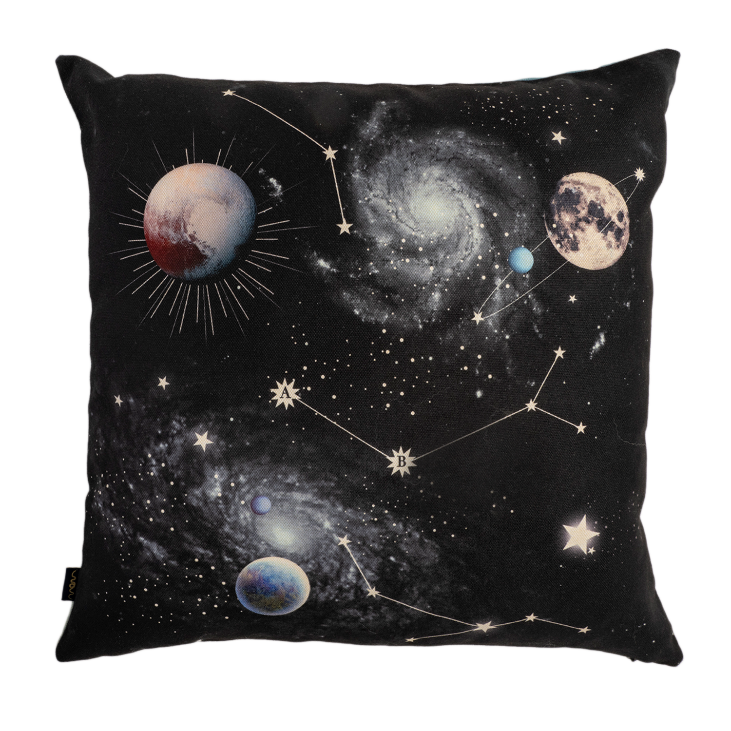 Magic Animals  - Canvas Pillow