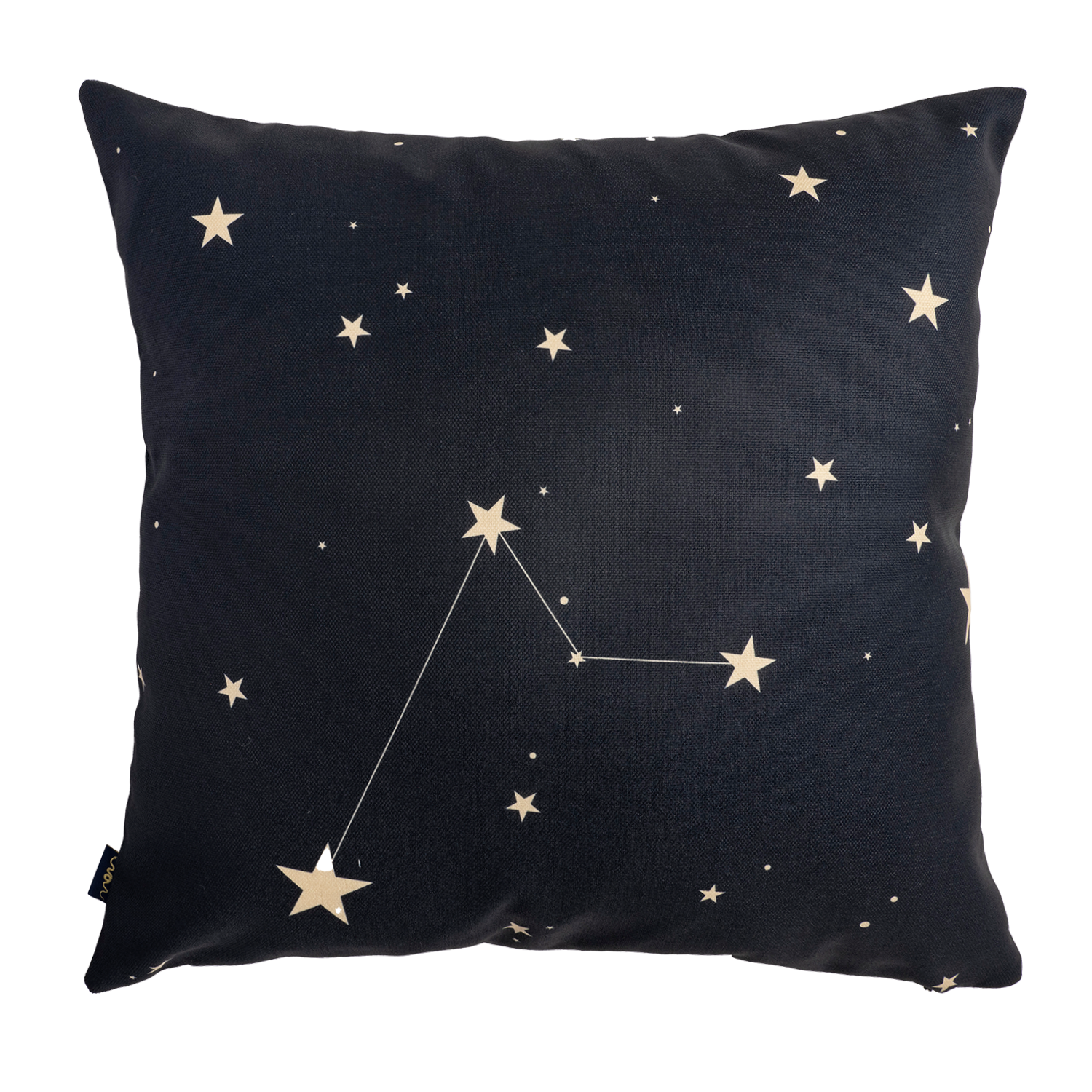 Prince Dark - Canvas Pillow