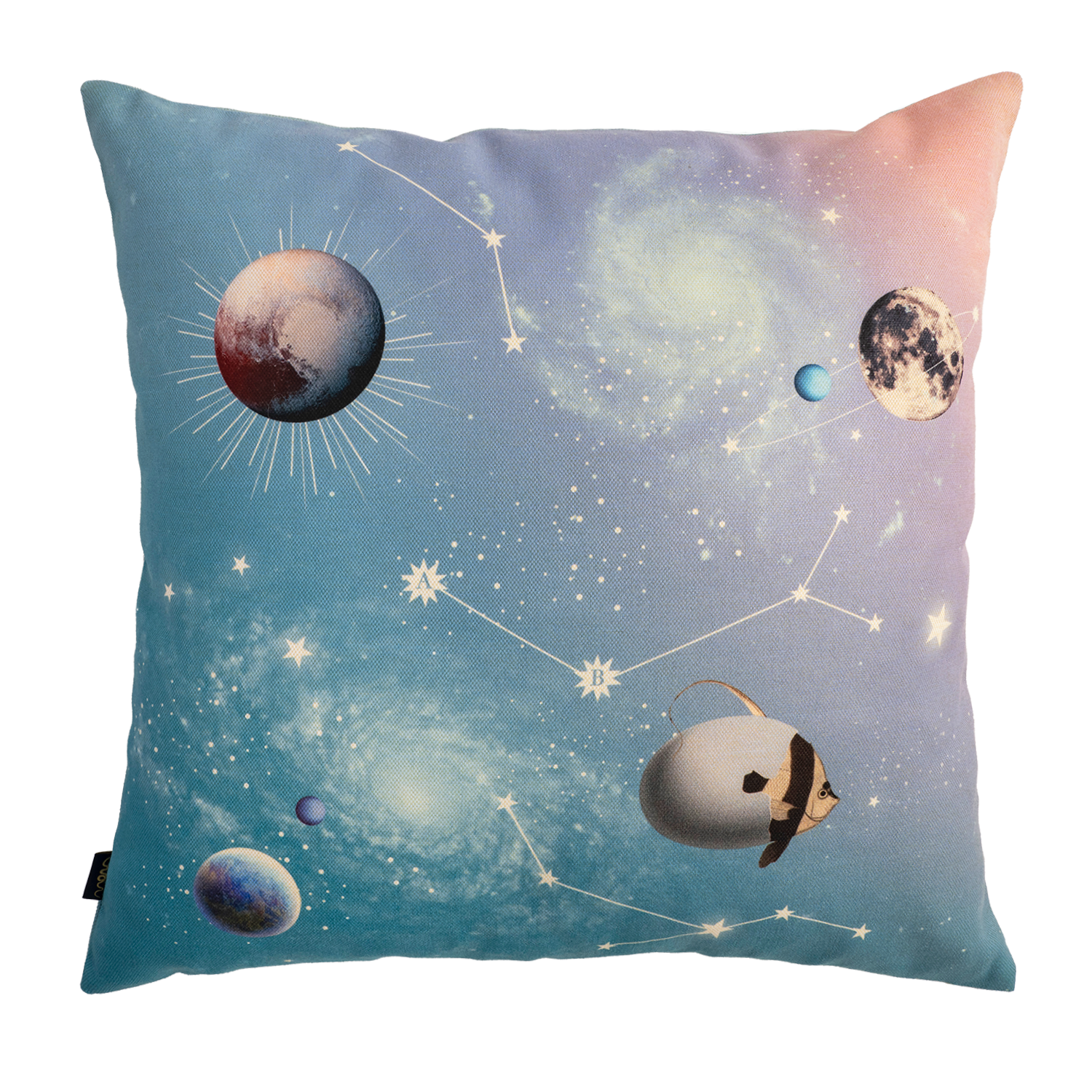 Magic Bird - Canvas Pillow