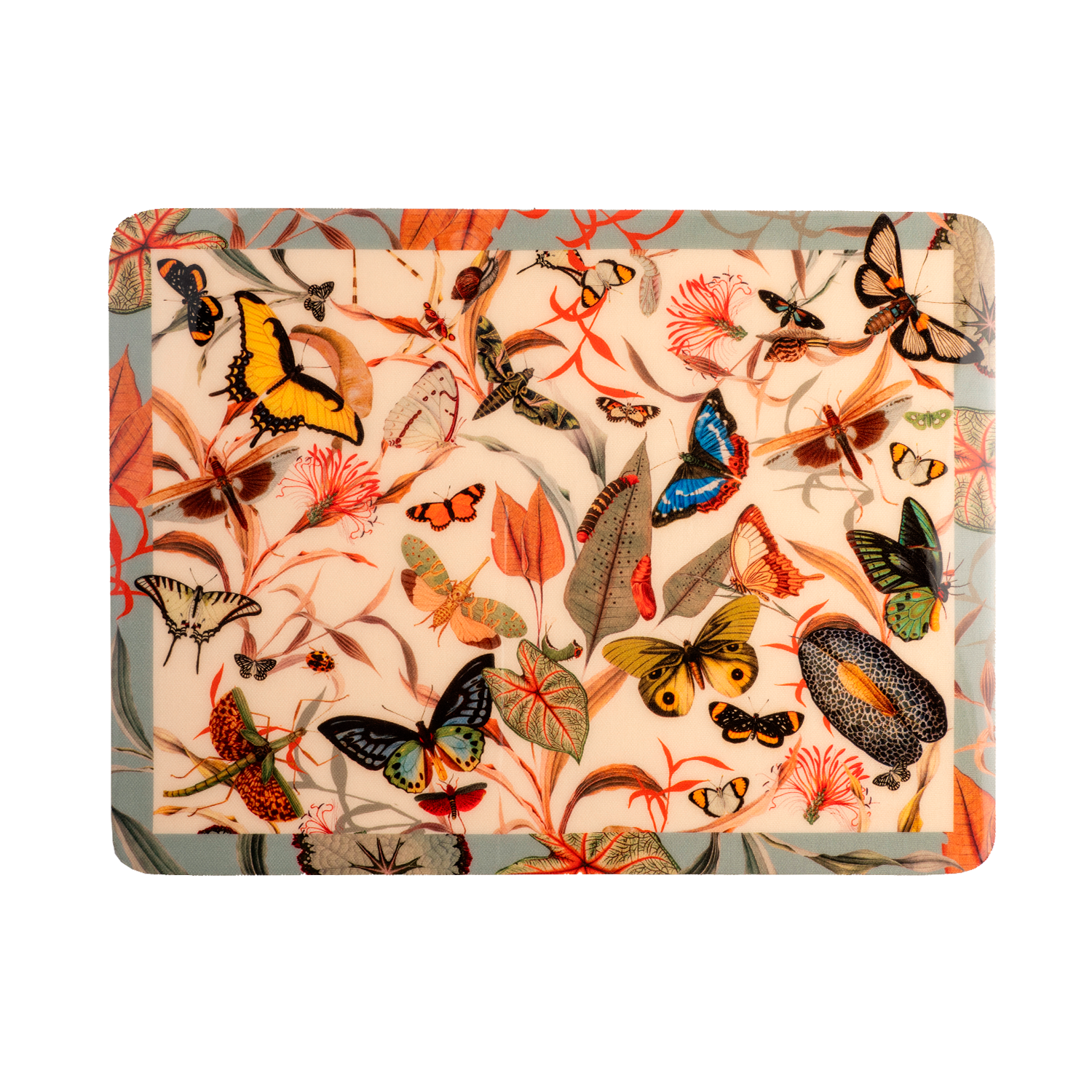 Butterfly Aqua - Board