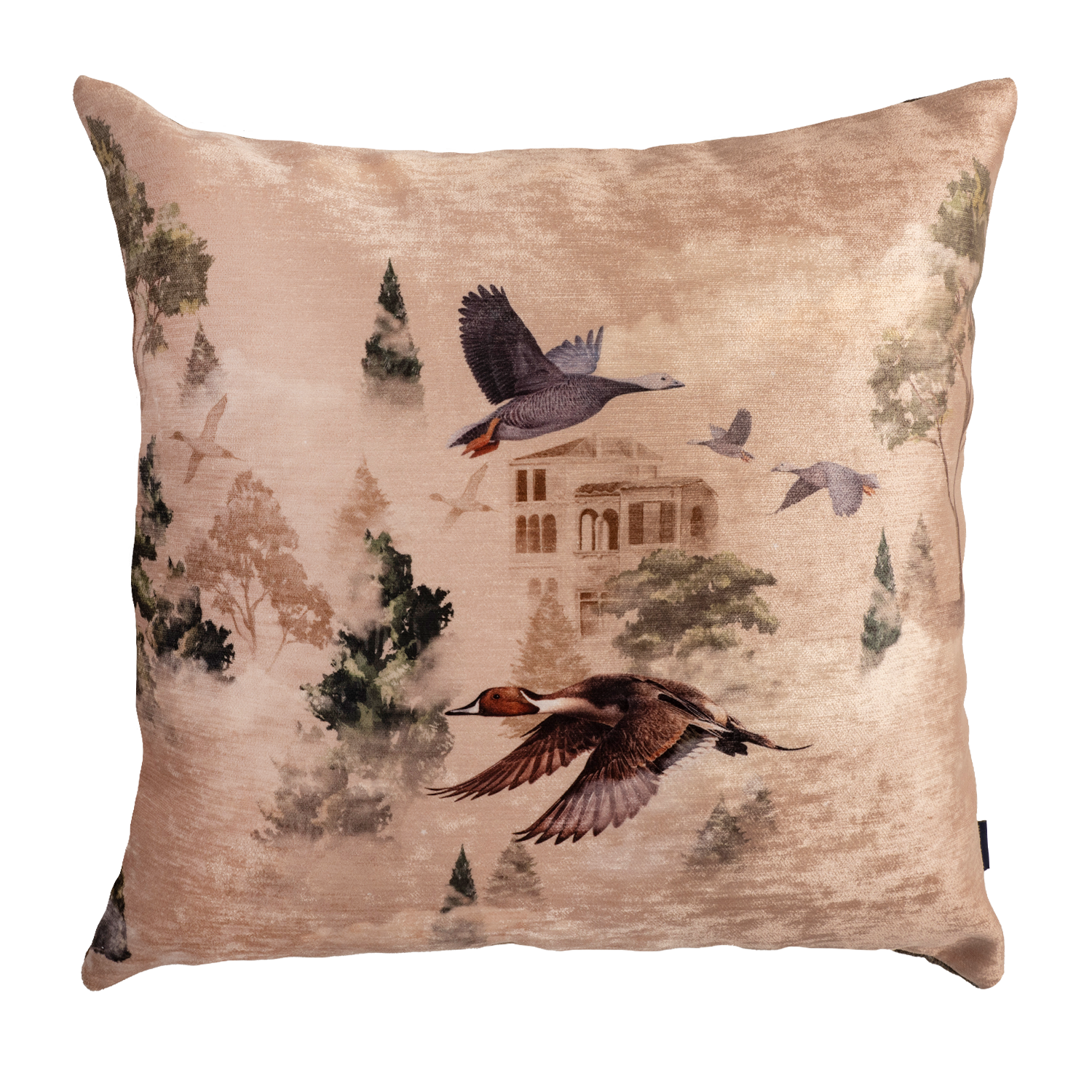 Ducks House - Velvet Pillow