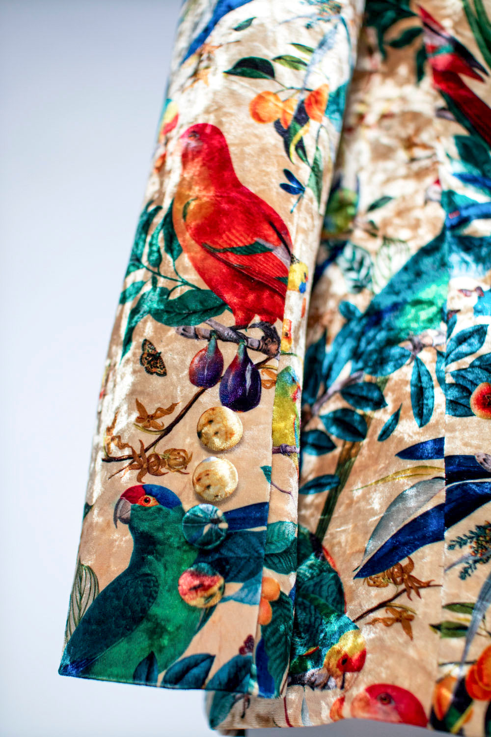 Salmon Colombian Parrots - Velvet Blazer