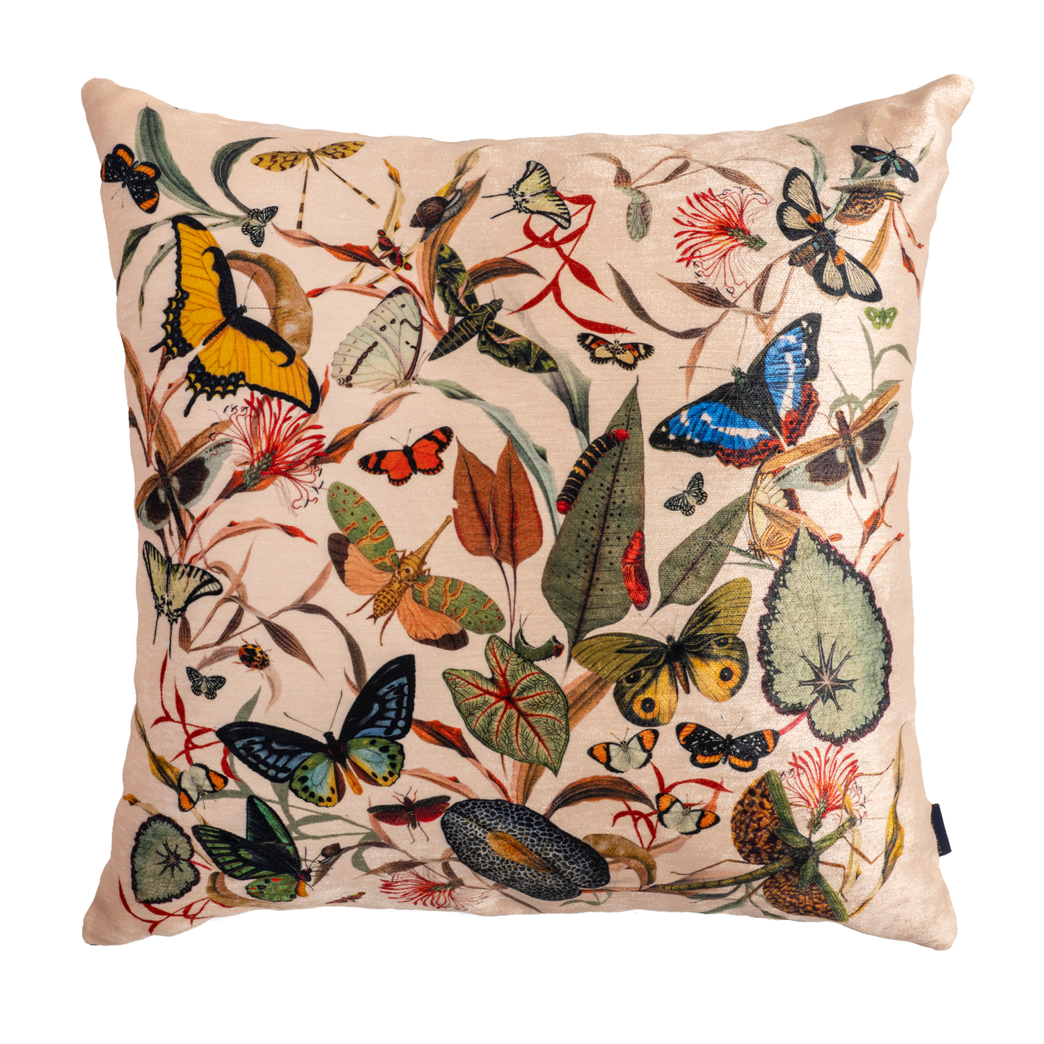 Butterfly Ivory - Velvet Pillow