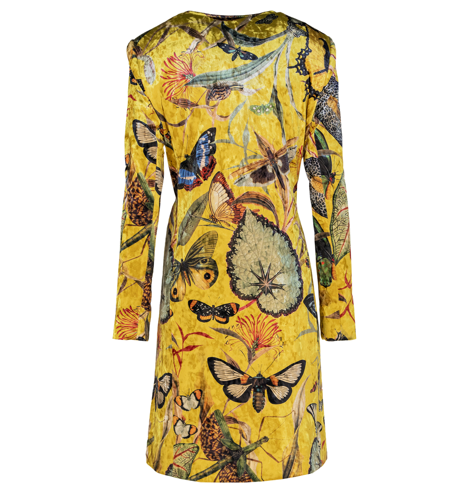 Butterfly Yellow - Kimono