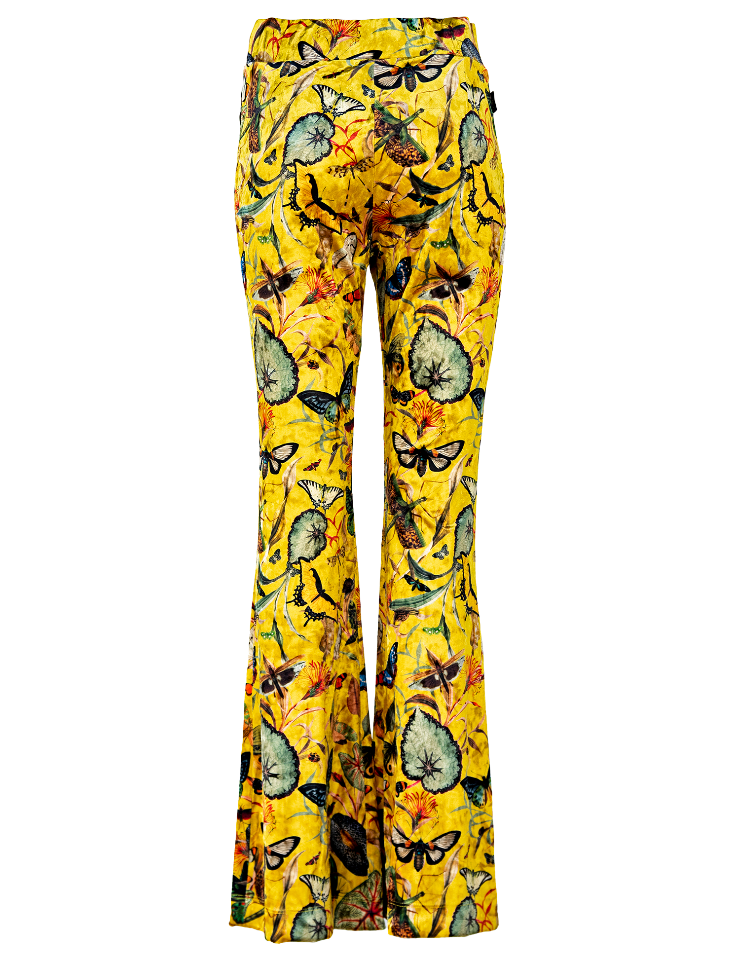 Yellow Butterfly - Velvet Pants