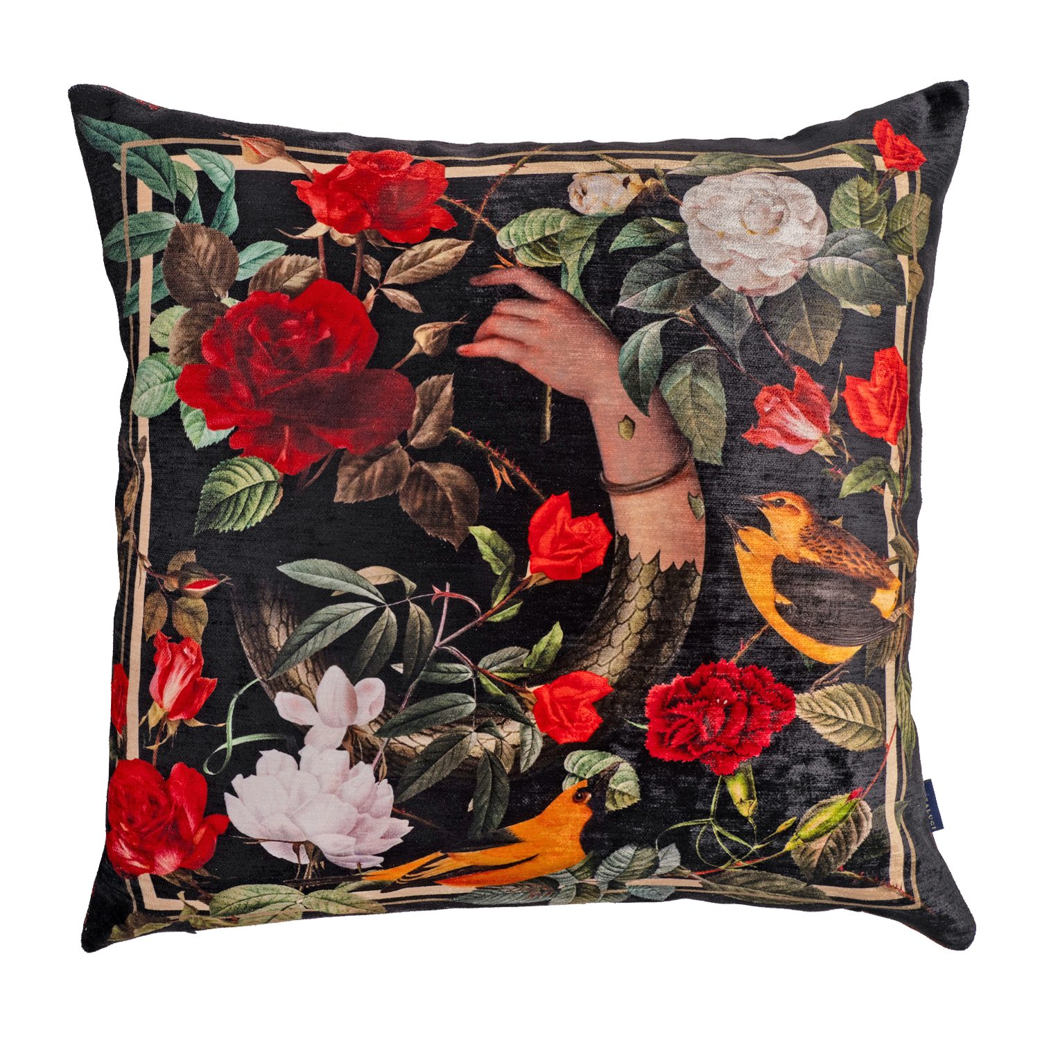 Roses - Velvet Pillow