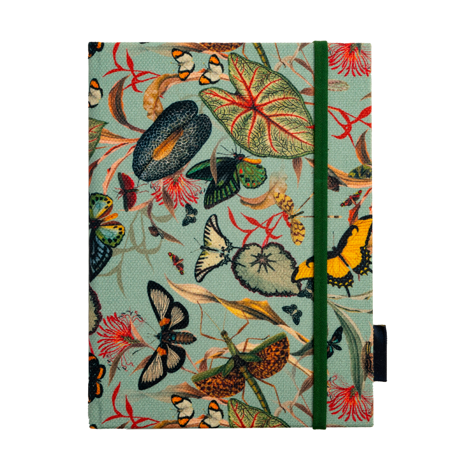 Butterfly Aqua - Diary