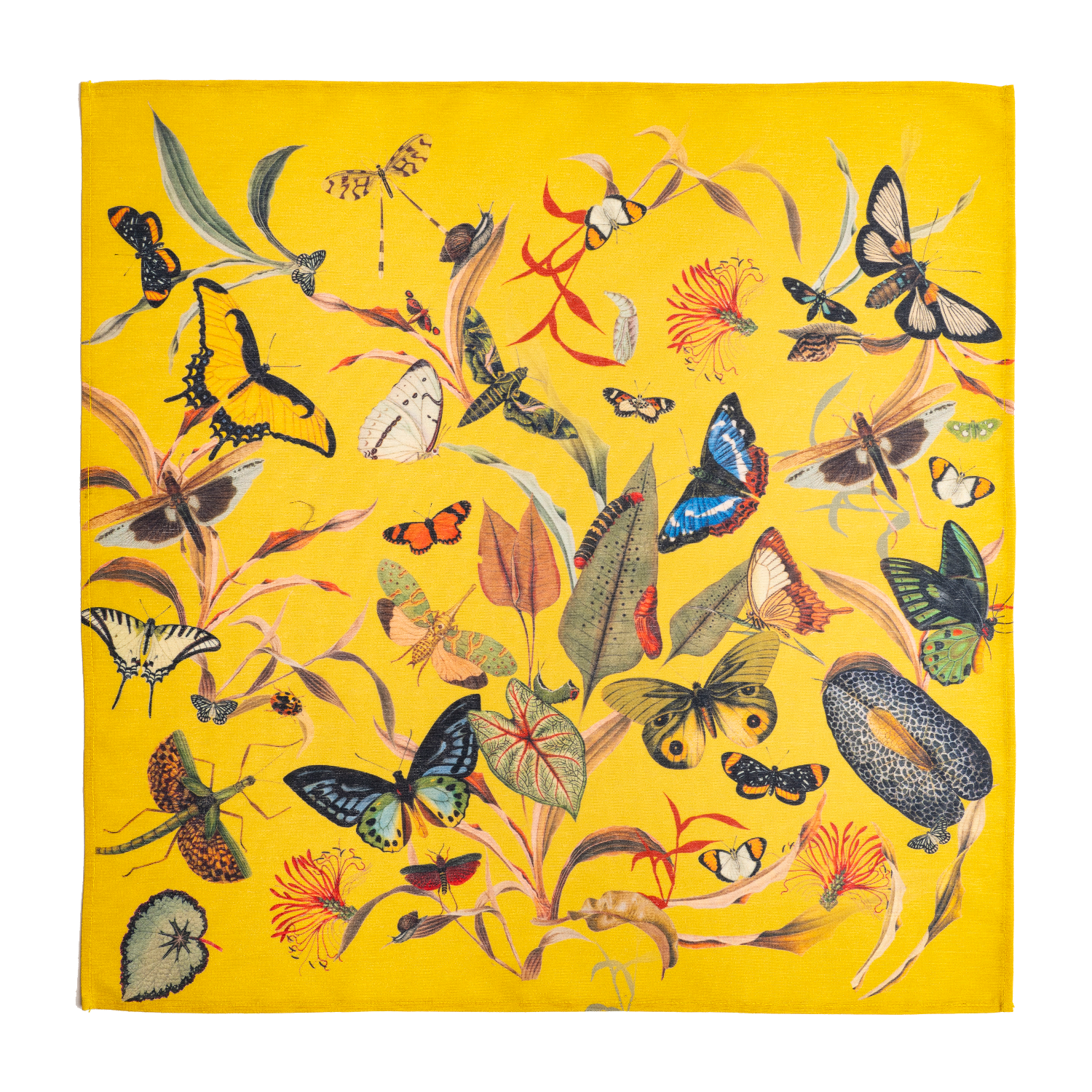 Butterfly Yellow 1 - Napkins