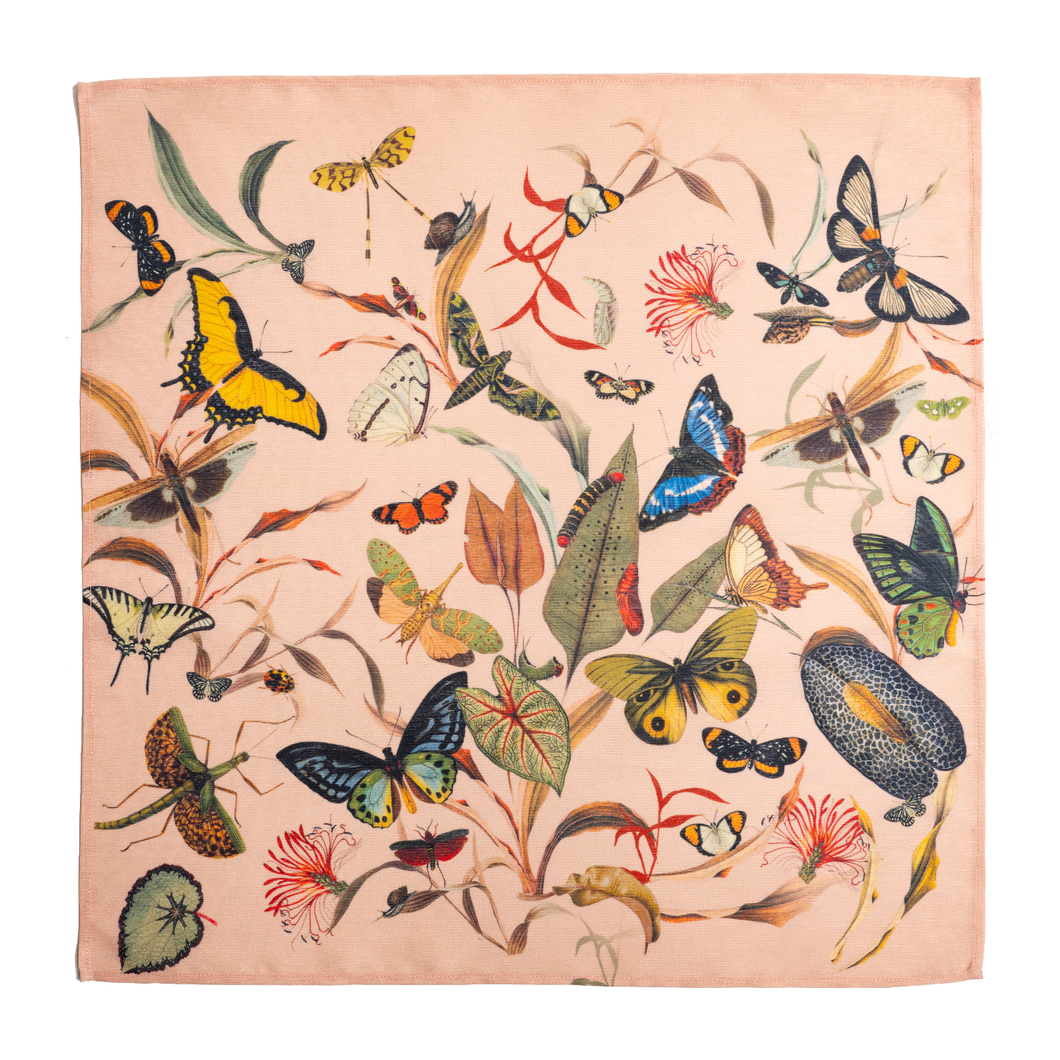 Butterfly Peach 3 - Napkins