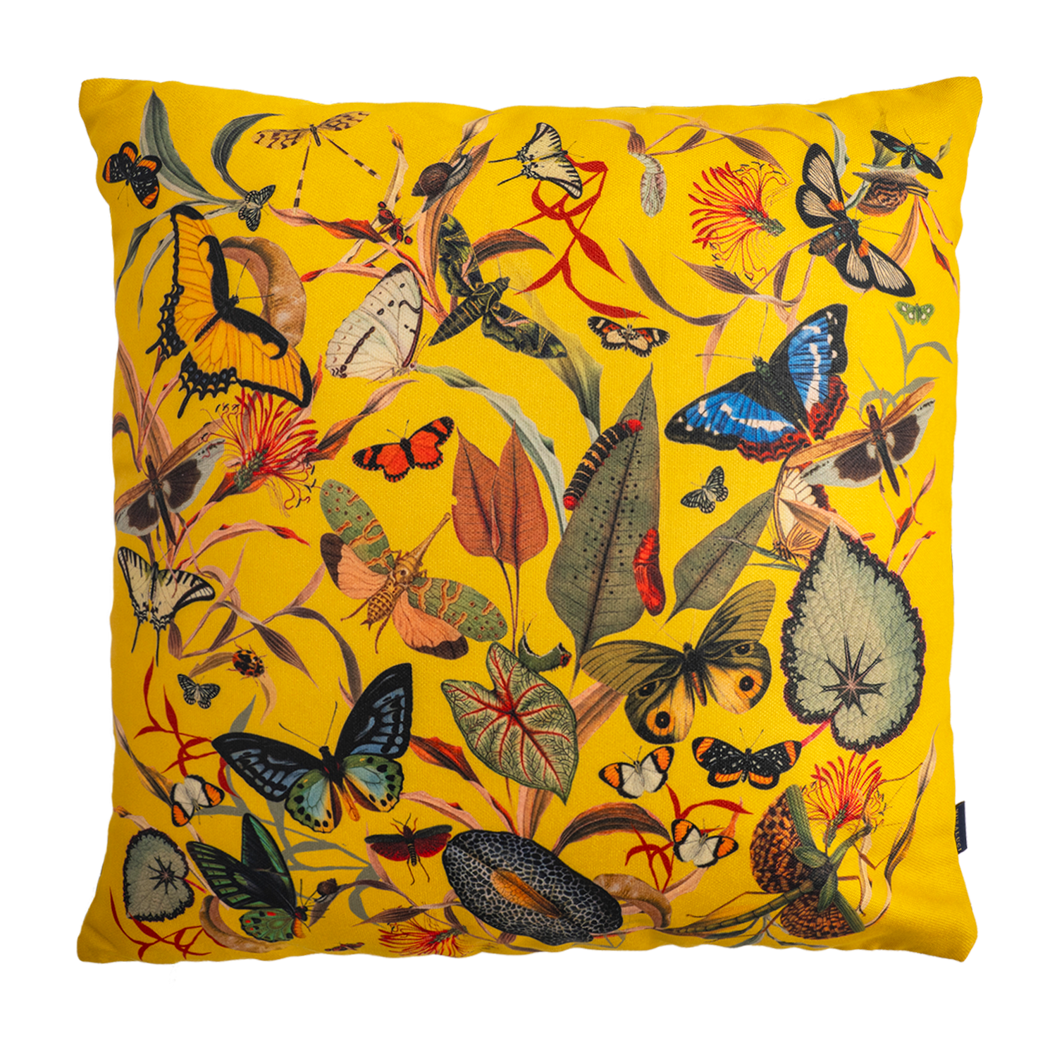 Butterfly Yellow - Canvas Pillow