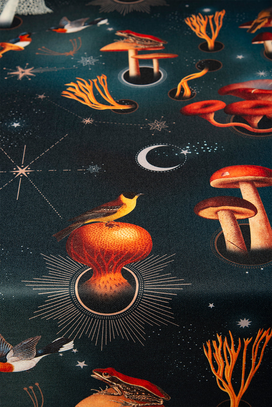 Fungi - Tablecloth