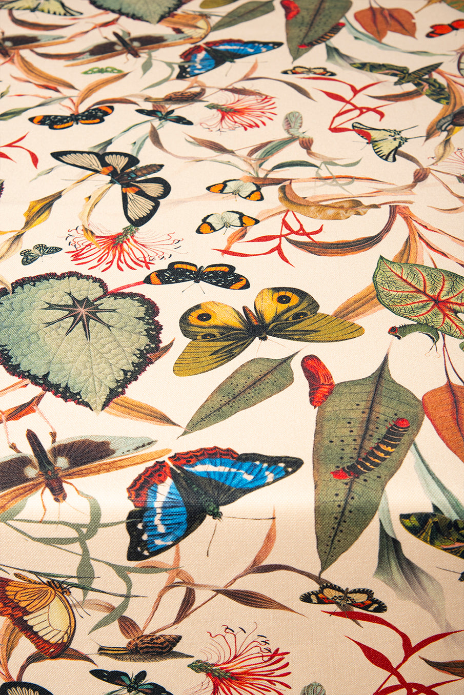 Butterfly Aqua - Tablecloth