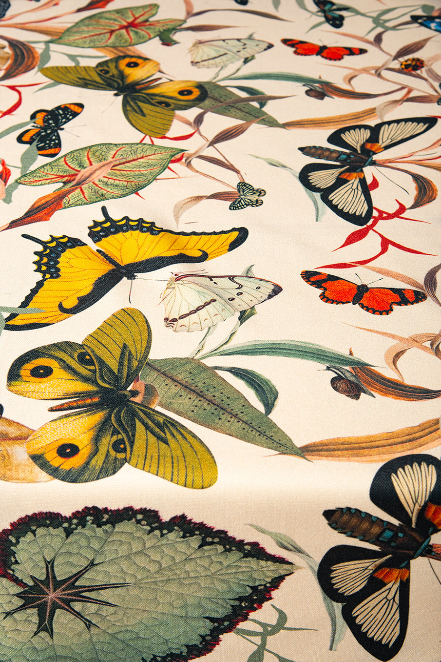 Butterfly Black  - Tablecloth