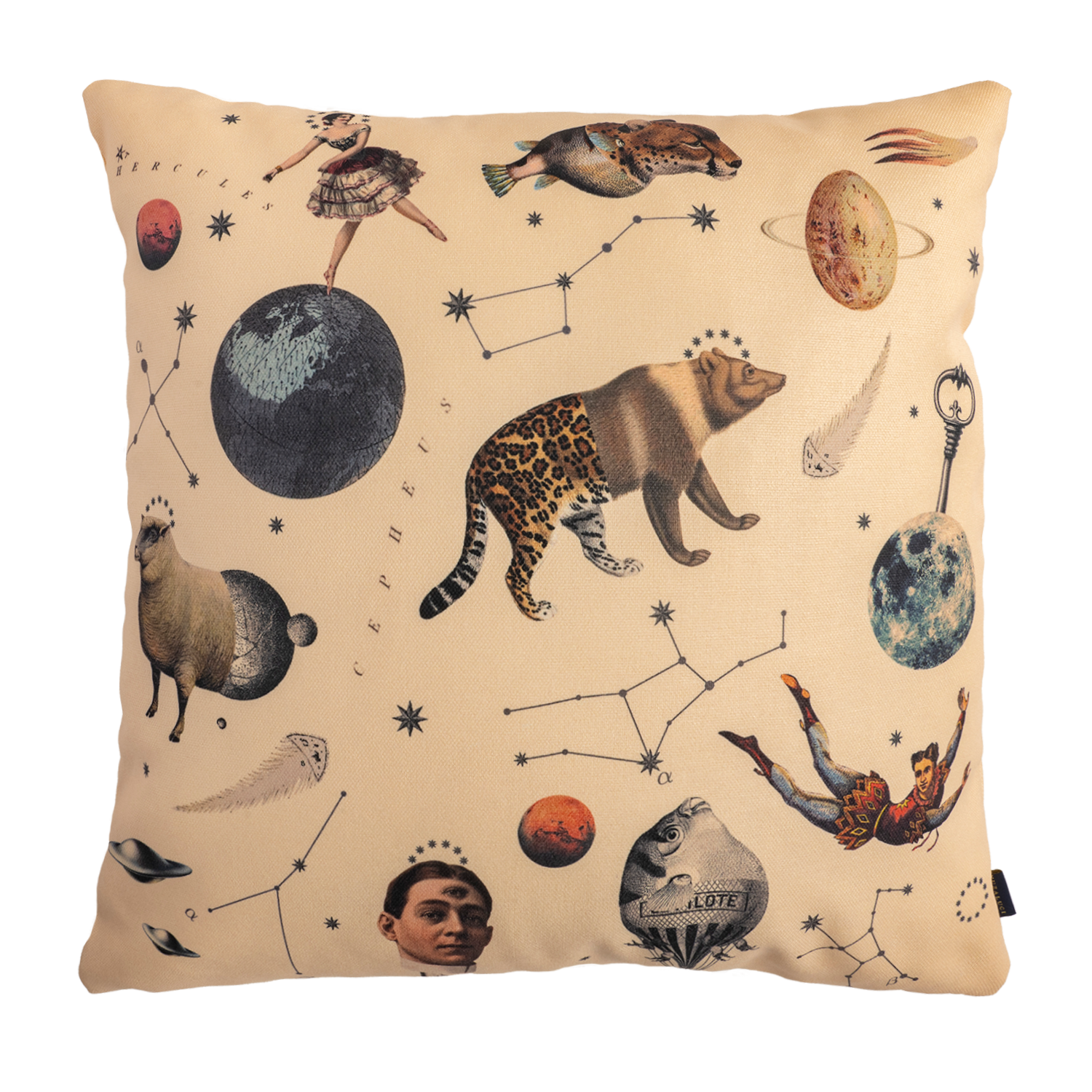 Kingdom - Canvas Pillow